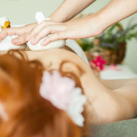 Otel Real Abadia, Congress &