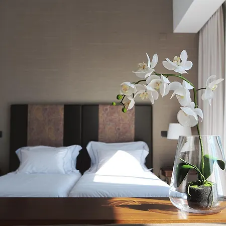 Otel Real Abadia, Congress &