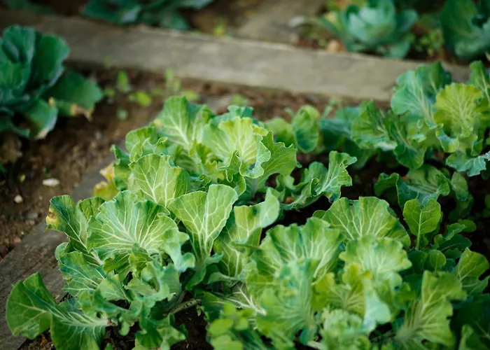 Real Abadia, Congress & 4* Alcobaça